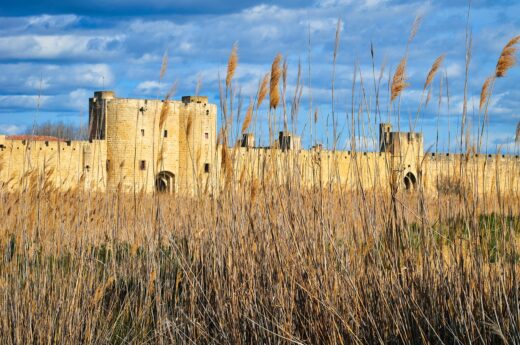 reed, grass, city walls-6091904.jpg