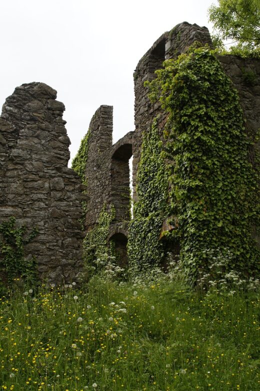 castle, ruin, middle ages-788424.jpg