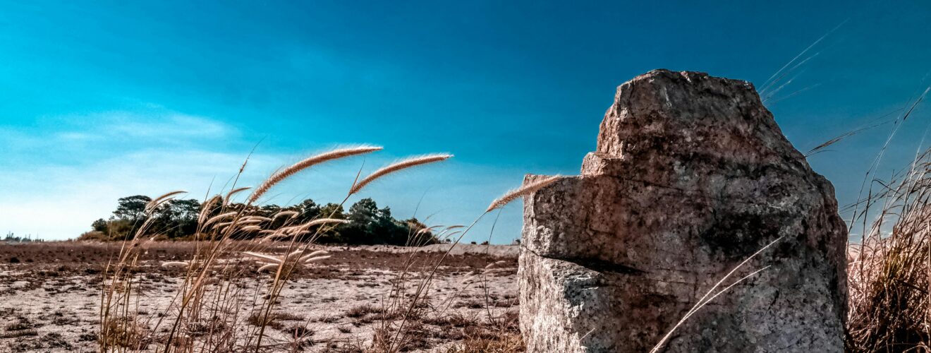 Vast open desert with a solitary rock and dry grass under a bright blue sky.