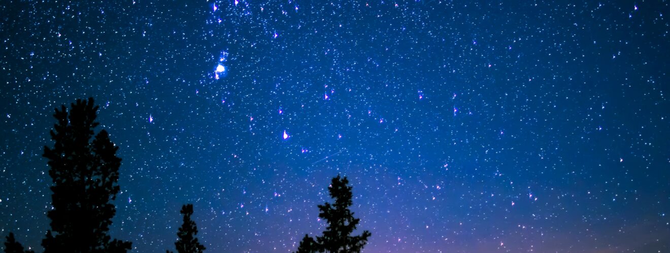 Beautiful starry night sky with silhouetted trees, showcasing the vast cosmos.