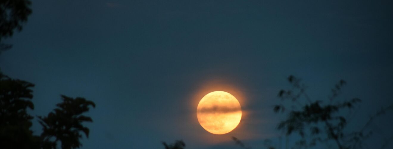 Captivating view of a full moon illuminating the night sky above silhouetted trees.