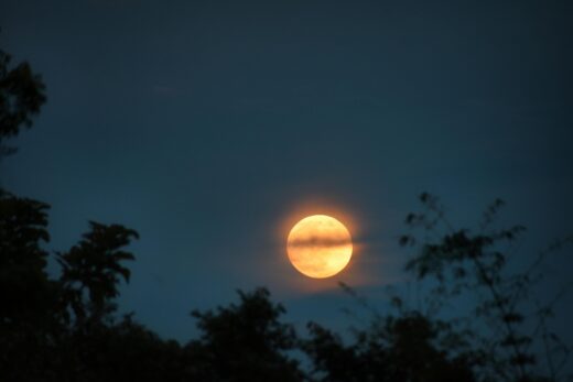 Captivating view of a full moon illuminating the night sky above silhouetted trees.
